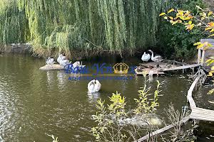 будинок за адресою Миру вул., 55