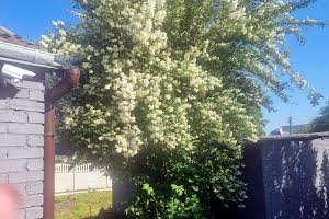 будинок за адресою Ржищів, Силкіних