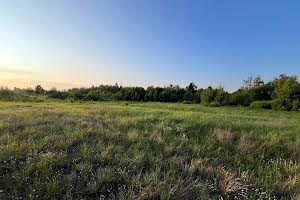 ділянка за адресою с. Дружня, 