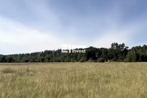 ділянка за адресою с. Михайлівка-Рубежівка, вул. Кичеївська