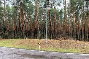 ділянка за адресою с. Підгірці, Озерна вул., 33