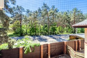 будинок за адресою с. Плюти, Київська вул.