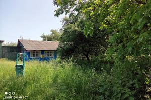 участок по адресу с. Рославичи, Жовтнева, 1