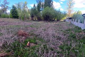 участок по адресу с. Новоселки, пришкільна