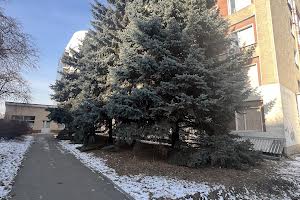 комерційна за адресою Європейська вул. (Новгородська), 3
