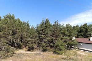 участок по адресу Украинка, 