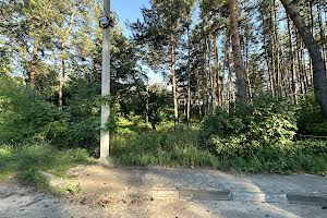 ділянка за адресою с. Плюти, Малишко, 7