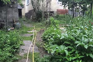 будинок за адресою Федьковича пров.