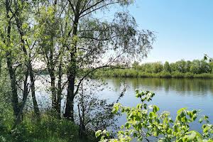 ділянка за адресою Окружна, 48