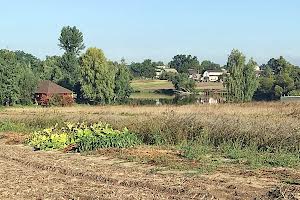 участок по адресу с. Микуличи, Яковенка