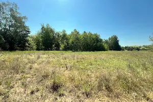 ділянка за адресою с. Неграші, Соборна, 51