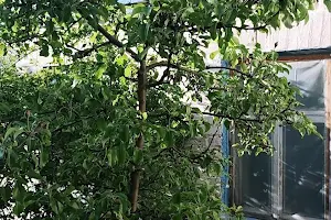 ділянка за адресою Дружби вул.