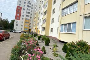 квартира за адресою Миру вул., 29