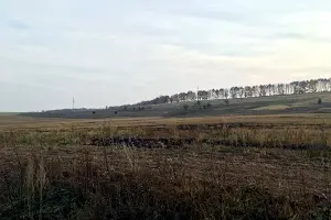 ділянка за адресою с. Луб'янка, 
