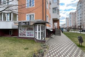 комерційна за адресою Бориса Гмирі вул., 10