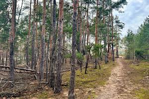 участок по адресу пгт. Гостомель, Кільцева