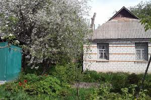 будинок за адресою с. Грузьке, Брусилівська, 140