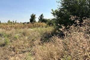 участок по адресу пгт. Великая Дымерка, Покровська, 70