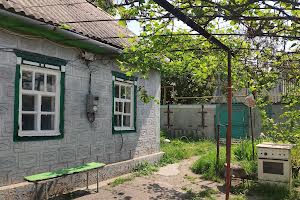 дом по адресу Пугачёва Вадима ул. (Московська)