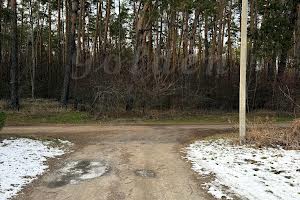участок по адресу с. Чубинское, 