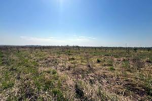 ділянка за адресою с. Михайлівка-Рубежівка, 