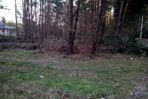 ділянка за адресою Лісова
