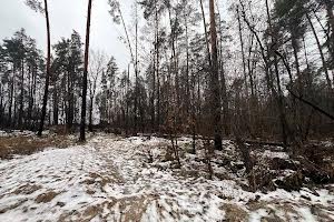 участок по адресу пгт. Ворзель, Котляревського, 53