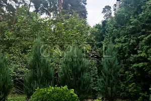 будинок за адресою с. Романків, Обухівський