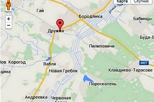 участок по адресу с. Дружня, Центральная ул. (Леніна), 1