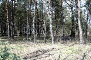 ділянка за адресою с. Плюти, 