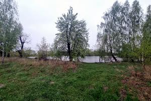 участок по адресу с. Микуличи, Грушевського