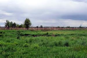 ділянка за адресою с. Великі Дмитровичі, 