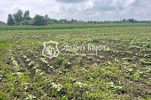участок по адресу Старокиївська, 103