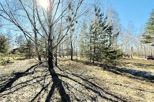 ділянка за адресою Північна