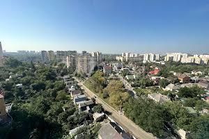 комерційна за адресою Валерія Лобановського просп. (Червонозоряний), 56