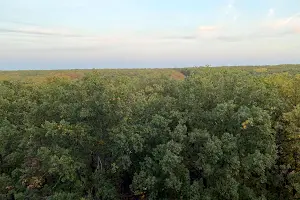 квартира по адресу Победы просп., 86-Б