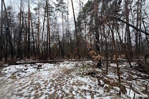 участок по адресу пгт. Ворзель, Котляревського, 53