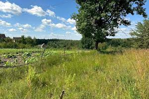 участок по адресу п. Зеленый Бор, 