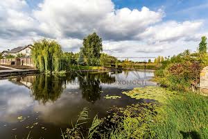 будинок за адресою с. Плюти, Київська вул.