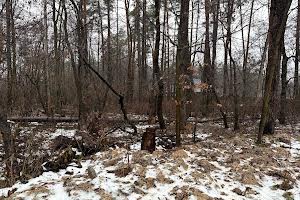 участок по адресу пгт. Ворзель, Котляревського, 53