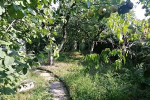 будинок за адресою Київ, Центральна вул.