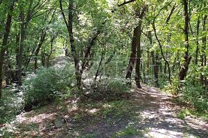участок по адресу Краматорский пер.