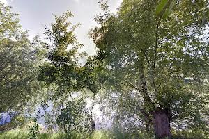будинок за адресою с. Хотянівка, Вишгородська вул., 15