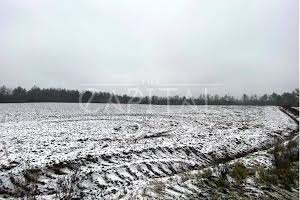 ділянка за адресою с. Білогородка, 