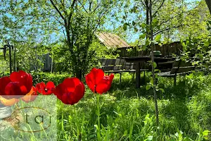участок по адресу Отдыха ул., 9