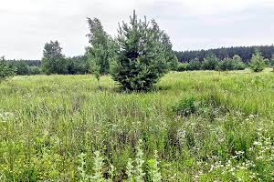 ділянка за адресою с. Блиставиця, Кленова