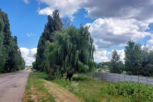 участок по адресу с. Чубинское, Виставкова, 1