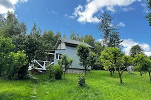 ділянка за адресою Центральна