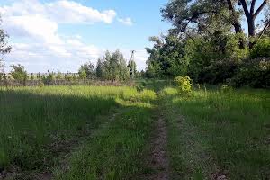 ділянка за адресою с. Козаровичі, 