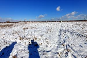 участок по адресу с. Вишенки, Лан